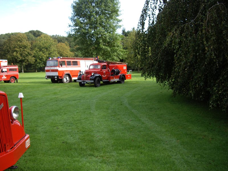 IMGP3578.JPG - Stoffel wederom in volle glorie.