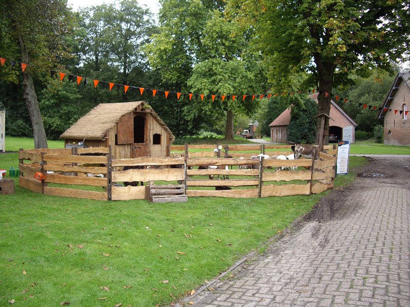 IMGP3588.JPG - De kinderboerderij....